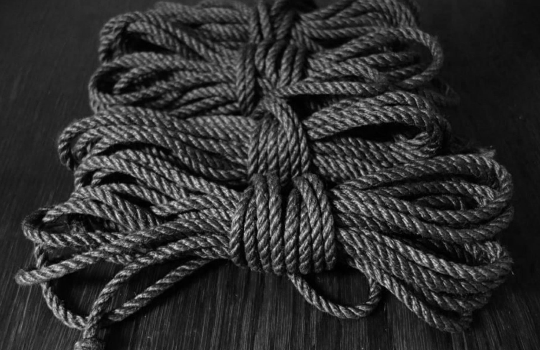 cordes shibari